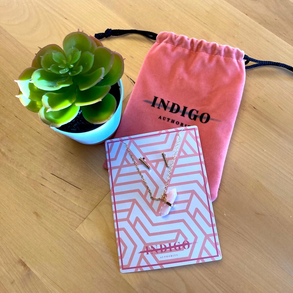 NWT Indigo Authority Coral Necklace & Earring Set